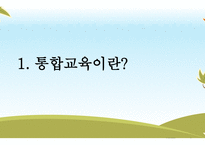 지체장애아 통합교육의 실태와 문제점-3