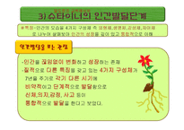 발도르프 놀이지도-5