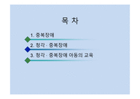 청각 중복장애아 교육-2