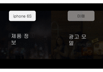 교육과 문화 정교화 가능성 모델-10
