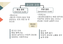 교육과 문화 정교화 가능성 모델-13