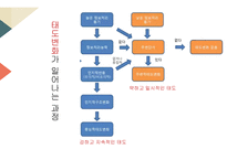 교육과 문화 정교화 가능성 모델-17