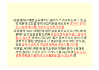 보육과정 의사소통영역-19