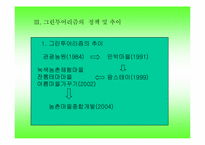 [농업경제]그린투어리즘과 농외소득증대 방안-13