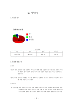[매체전략] 화이트(white) 매체기획안-18
