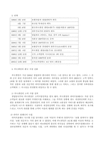 [국제경영] 외국계 보험사의 국내 진출 전략-14