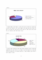 [레저관광] 여름철 스키장 슬로프 활용 방안-12