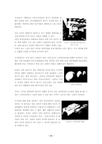 [건축디자인] 알바알토의 건축-14