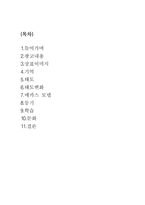 [소비자행동론] 베스킨라빈 아이엠샘 광고분석-2