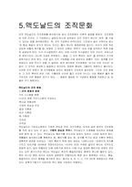 [조직구조론] 맥도날드의 조직구조-11