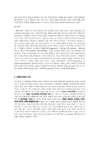 멕시코혁명과 사빠띠스따-4