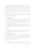 [경영사례] 베스킨라빈스(Baskin Robbins 31) 성공 요인 분석-5