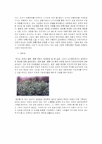 [사회문화] 얼짱 몸짱 신드롬과 외모지상주의-8