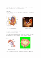 [수업지도안] 중학교 1학년 여학생 성교육학습지도안-11