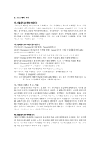 [영유아보육] 우리나라 영유아보육프로그램(서울대,연세대,중앙대,이화여대,덕성여대)-2