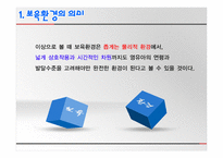 보육학개론 보육환경-3