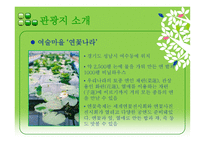 반딧불이와 함께하는 생태자연학습체험-6