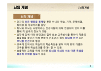 교육심리학 뇌의 구조와 기능-3