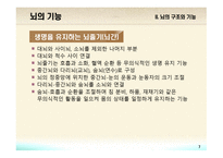 교육심리학 뇌의 구조와 기능-7