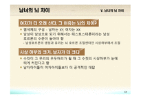 교육심리학 뇌의 구조와 기능-17