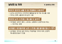 교육심리학 뇌의 구조와 기능-18