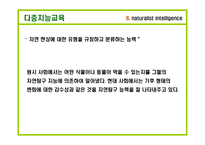 하워드 가드너 다중지능교육-11
