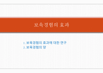 보육 경험의 효과1-1