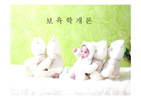 보육학 개론 보육과정-1