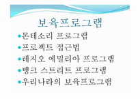 보육학개론 보육프로그램-2
