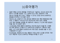 보육학개론 보육평가-9