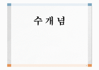 수 개념 레포트-1
