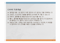 수 개념 레포트-3