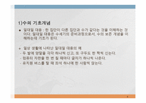 수 개념 레포트-4