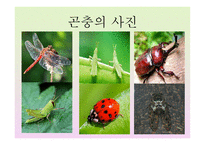 ASSUREA 학습지도안1-5