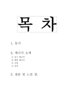 대한민국 녹색에너지대전 기행문-1