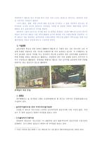 환경스페셜 감상문 학교가 숲으로 들어왔다-4