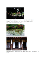 운림산방 기행문-6