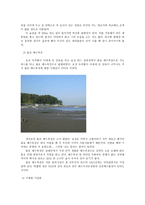 보성 기행문 레포트-5