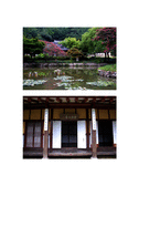 진도 운림산방 기행문1-4