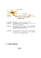 신경계 요약 레포트-3