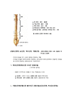 신경계 요약 레포트-7