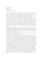 슬럼독 밀리어네어 감상문-3