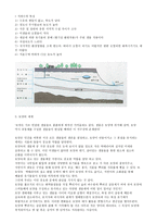 침묵의 봄 독후감-2
