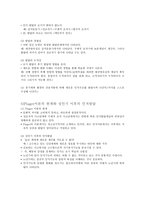 인지 이론요약 레포트-12