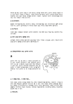 사랑 심리학 독후감-6