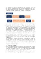 신고리 5호 6호기 건설 재개를 위한 공론화 비평-6