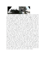 상해 기행문 레포트-3