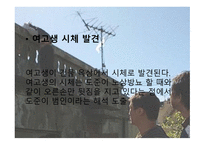 영화 마더 작품 분석-10