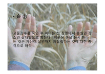 영화 마더 작품 분석-18