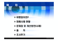 여행업의 문제점 및 개선방안-2